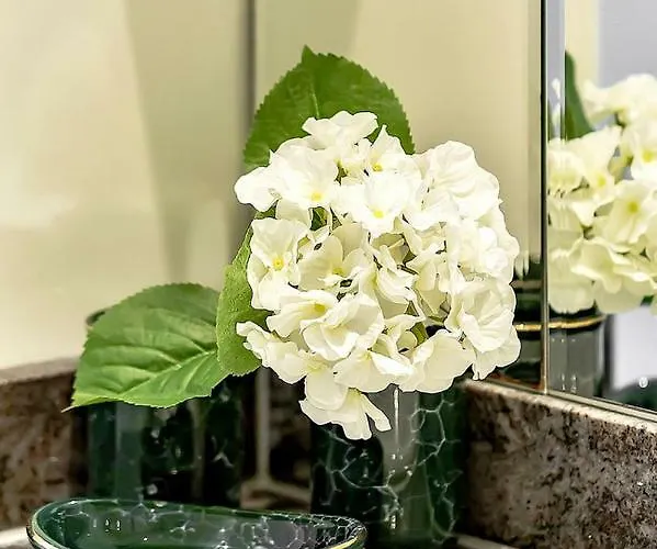 Apartmán Parque Santiago 2 Penthouse *